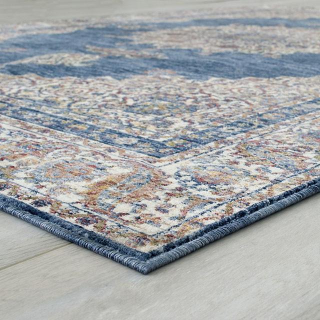 Payas Blue/Multi 5' X 7' Area Rug